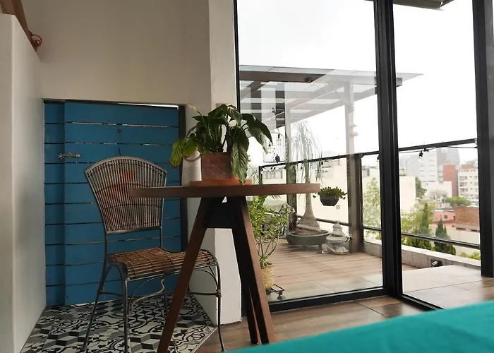Loft Remedios - Penthouse Cdmx - Areas Comunes Compartidas Mexico acceptant les animaux