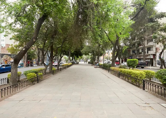 Hôtel Sonder Casa Tonala à Mexico acceptant les animaux