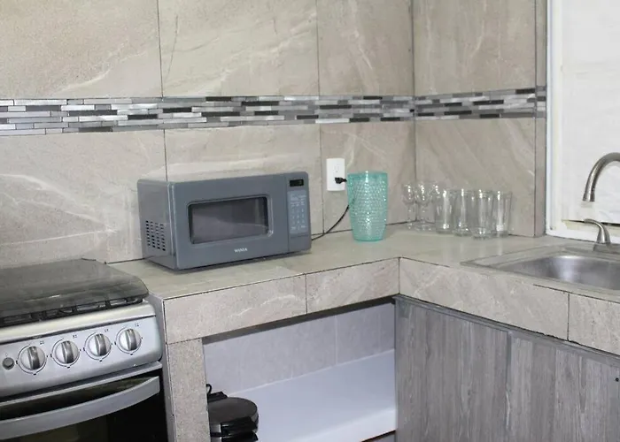 Habitacion En Departamento Compartido En El Area De Nuevo Polanco Mexico acceptant les animaux