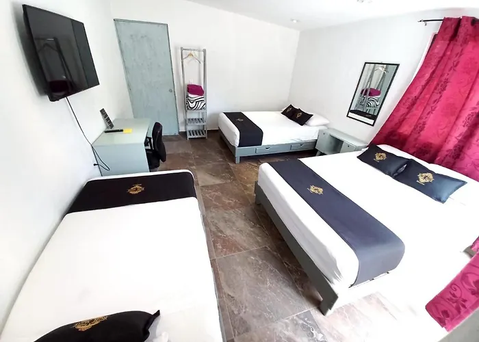 Rch Suite Mexico acceptant les animaux