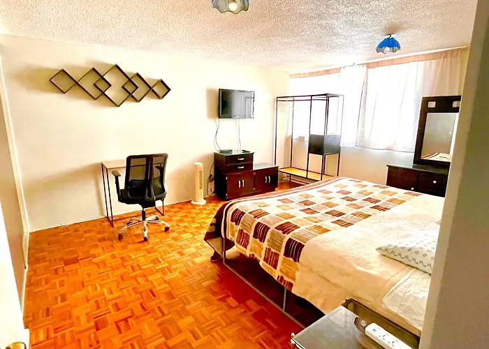B&B México Roma Norte
