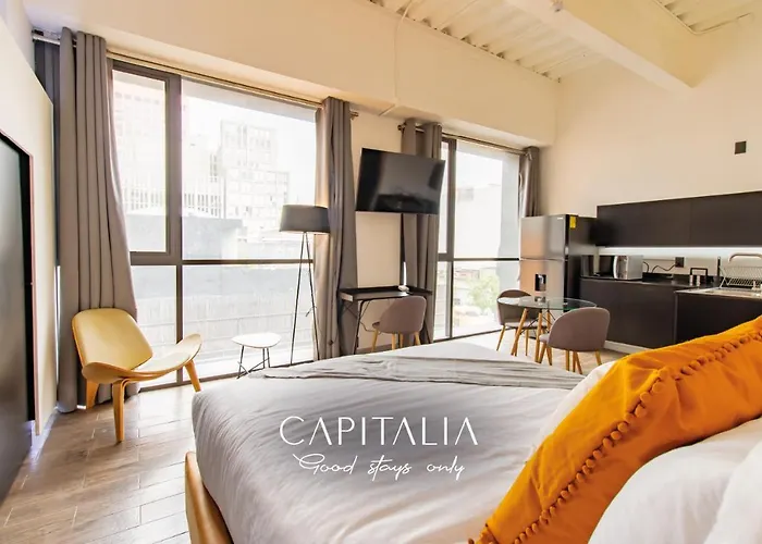 Capitalia - Apartments - Jose Azueta 31 Mexico acceptant les animaux
