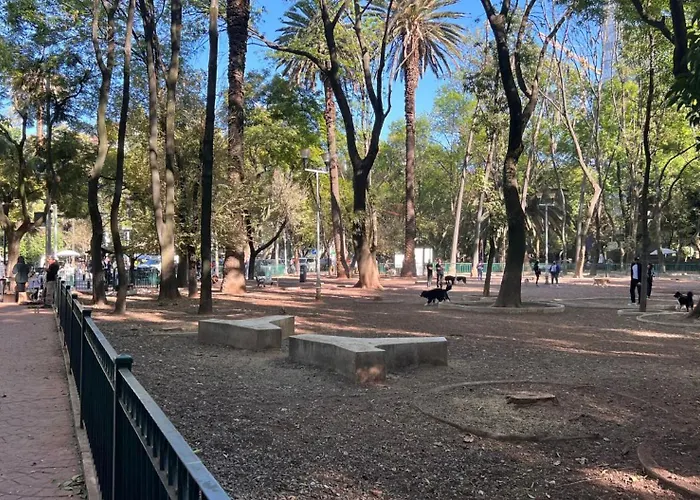Condesa Residence Amsterdam 103 Sunny 1Bed 1Bath On Amsterdam Av Mexico acceptant les animaux