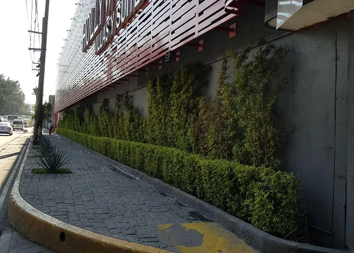 Hotel & Villas Hollywood Mexico