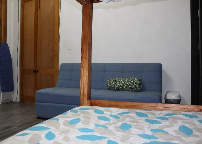 Suite U36 México DF admite animales